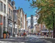 会员权益指南：玩转微密圈免费入口的注册登录攻略与用户评价与反馈技巧