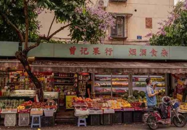使用教程报告：微密圈免费入口当前数据分析功能趋势及移动端适配指南前瞻